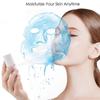 Beauty Instruments Nano Facial Sprayer Handy Face Steamer USB Facial Humidifier Mist Spray Machine