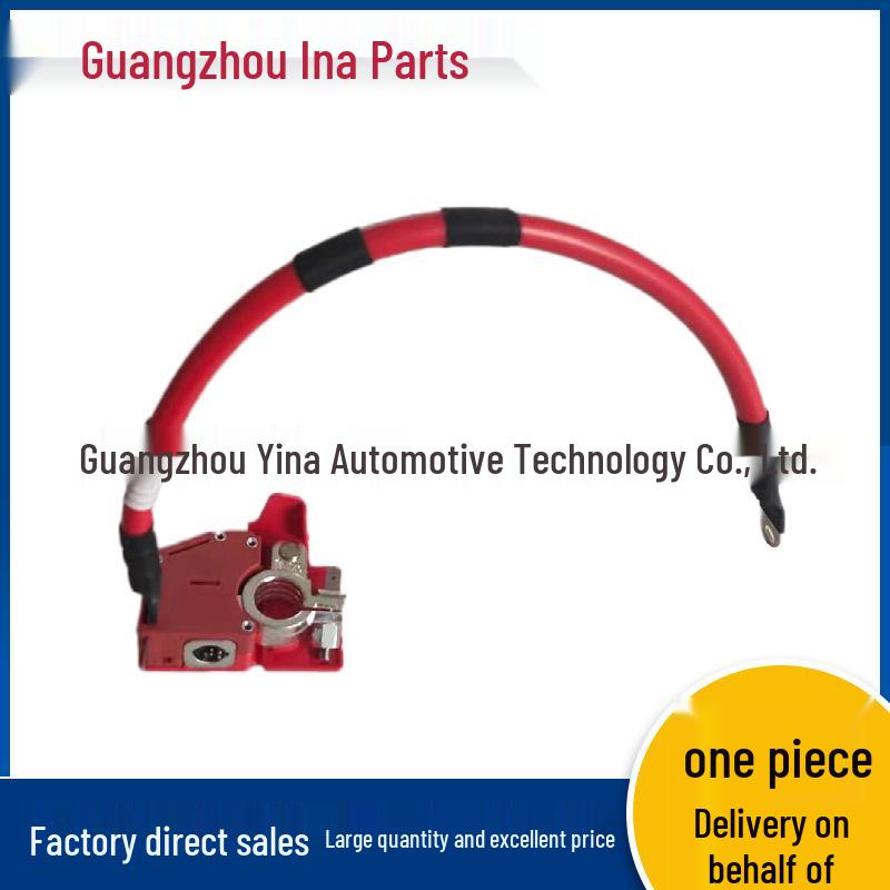 Battery Cable for BMW 3 Series G20/G28 Car Battery