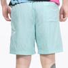 Nike Sportswear Alumni Logo Embroidered Woven Training Loose Casual Shorts Men Bottoms Mint-Green DB3811-382