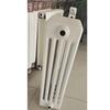 Dongfeier GZ506 Steel Five-Column Hydronic Radiator
