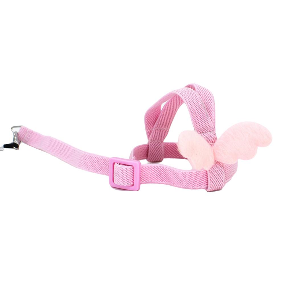 Haustier Papagei Vogel Geschirr und Leine Fliegen Outdoor Training Traktionsseil Gurte für Wellensittich Nymphensittich Kleine Vögel