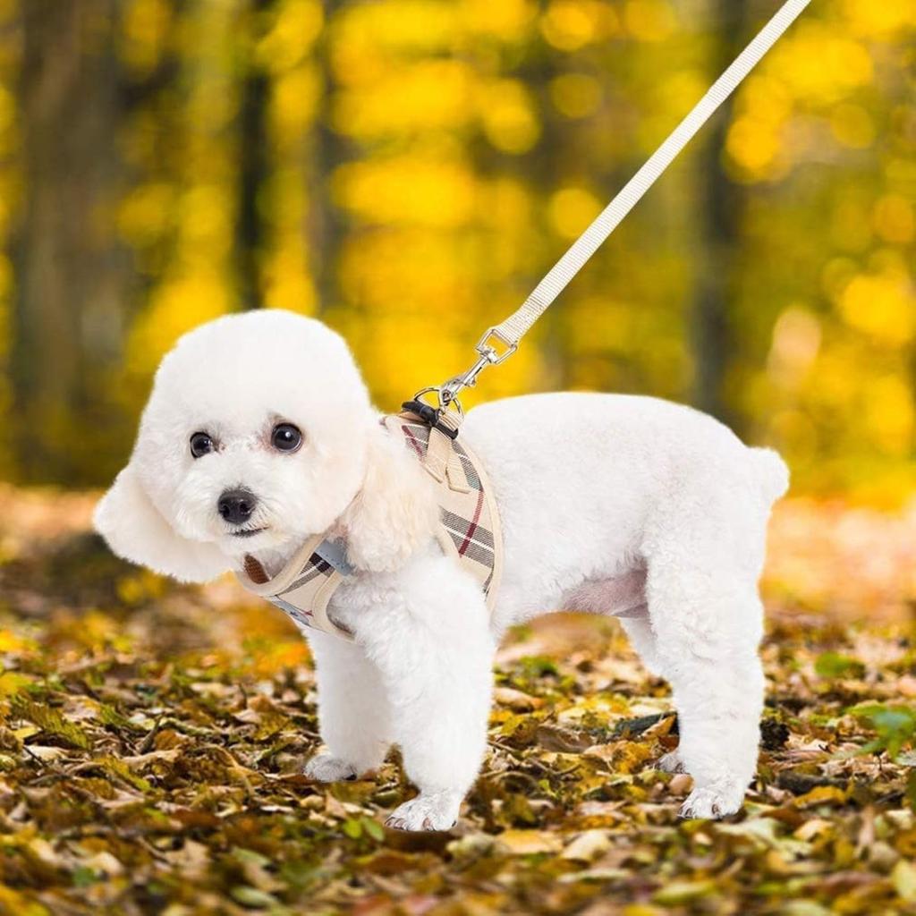BINGPET Dog Collar and Lead Body Harness for Small Checkered Mesh Gentle on the Vest with Reflective Easy to Put on and Take Cute Harness, Set, Dogs,