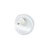 Chanel [25C Early Spring] Solid Color Logo Decoration Small Resin Metal Earrings Women's White