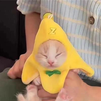 Poupées et peluches – Accessoires et vêtements pour poupées