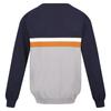 Regatta Mens Kaelen Colour Block Knitted Jumper