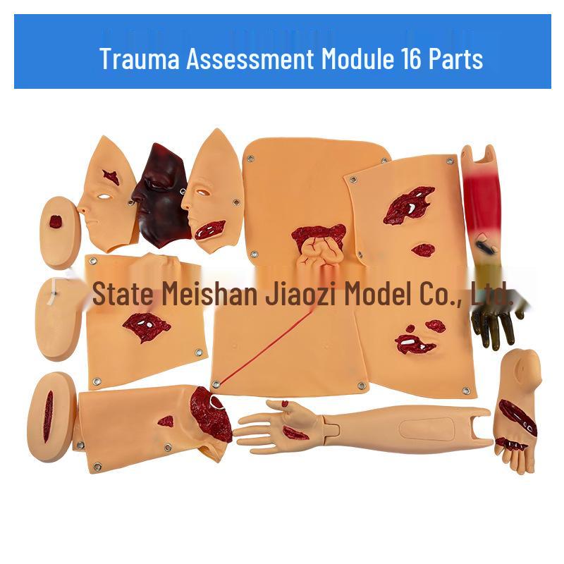 16-Part Trauma Assessment & Nursing Teaching Model