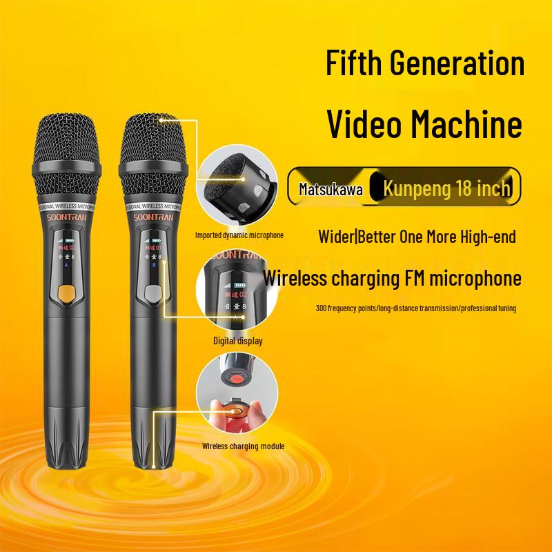 Songchuan Portable KTV Bluetooth Speaker CN plug (adapter included) (CN version)