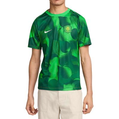 Nike Fußballtrikots Herren Grün Moderat HM5716-302