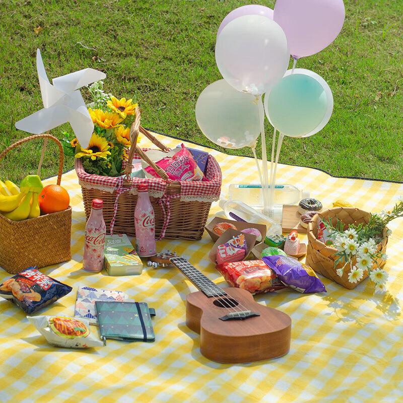 Huilingyang Outdoor Waterproof Picnic Mat