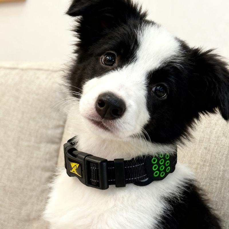 Reflective Cats Dog Collar for Tracking Device Durable Soft Wear for Training Wear Detachable Belt