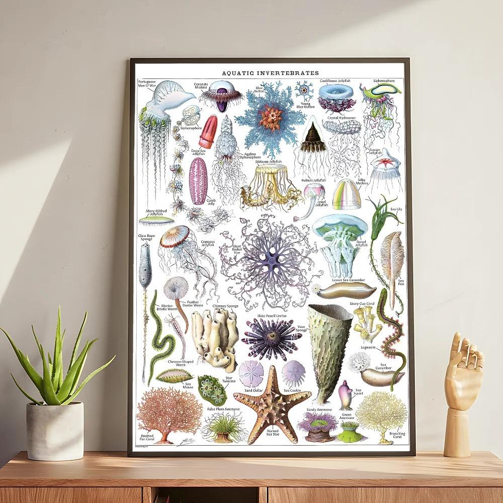 Whale and Shark Seashells Turtles Octopus Fish Marine Life Ocean Animals Poster and Print Canvas Painting  Wall Art Home Living Room