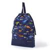 Colorful Candy Style Gusset Bag and Drawstring Pouch Lesson Shoe and Large Drawstring Perfect for Preschool and Kindergarten A Cool Idea for Dinosaur