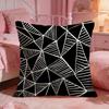 DecorTriangleS Cushion Cover Premium Comfort Reversible Pillow Cove Two In One Design for Any Room  Car Interior