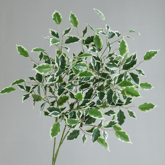 Simulierte Grüne Pflanzen Ficus Cordata Ast Künstliche Grünpflanzen Pflegeleicht Realistische Seidenblätter Haus Garten Event Dekoration