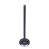 Motorcycle Engine Input Output Intake Exhaust Valve Kit For Yamaha TT-R250 TTR250 TTR 250 TT-R 250 1993-2002