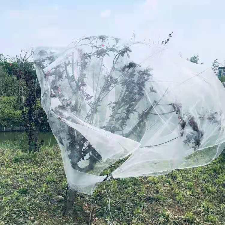 Meyve Ağaçları için Defne ve Narenciye Böcek Geçirmez Ağ Örtüsü