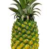 Artificial Pineapple Figurine Decor Modern Display Lifelike Fruit Model for Kitchen Living Room Kids Toys Photo Prop Cabinet