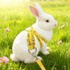 Soft Guinea Pig Harness Adjustable Ferret Anti Loss Rope Ferret Harness Leash  Small Pets