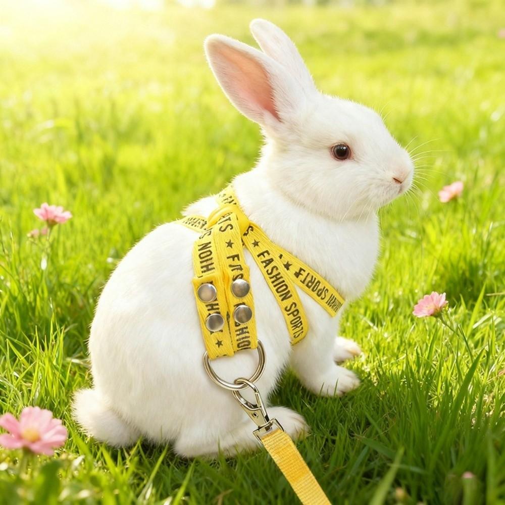 Soft Guinea Pig Harness Adjustable Ferret Anti Loss Rope Ferret Harness Leash  Small Pets