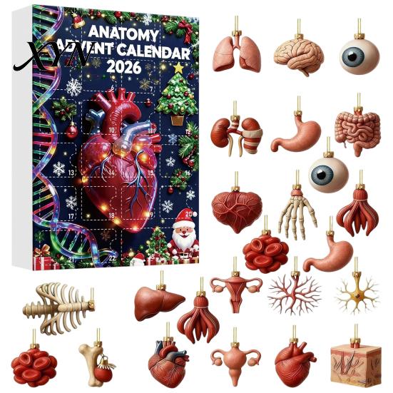 Dāvana medicīnas studentam Anatomijas Adventes kalendāri