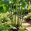 Plant Stem Support Reusable Plant Growth Accessories Climbing Houseplant Stem Holders for Monstera Indoor Plants