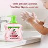 Shui Wei Shi May Rose Foaming Hand Soap