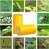 5/10M Outdoor Insect Trap Double-sided Crawling Insect Trap Fruit Fly Traps  Gnats Prevention