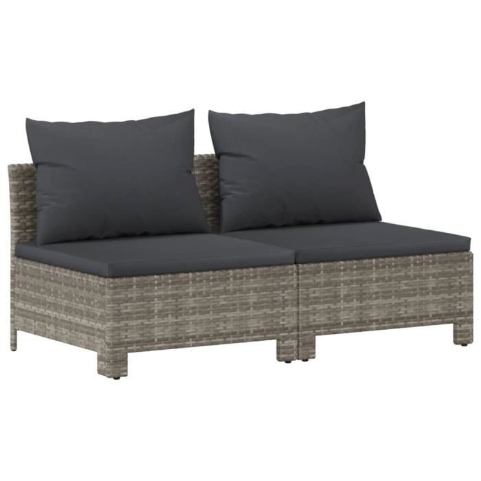 VidaXL Canapé de jardin 2 places avec coussins Gris Résine tressée 362691