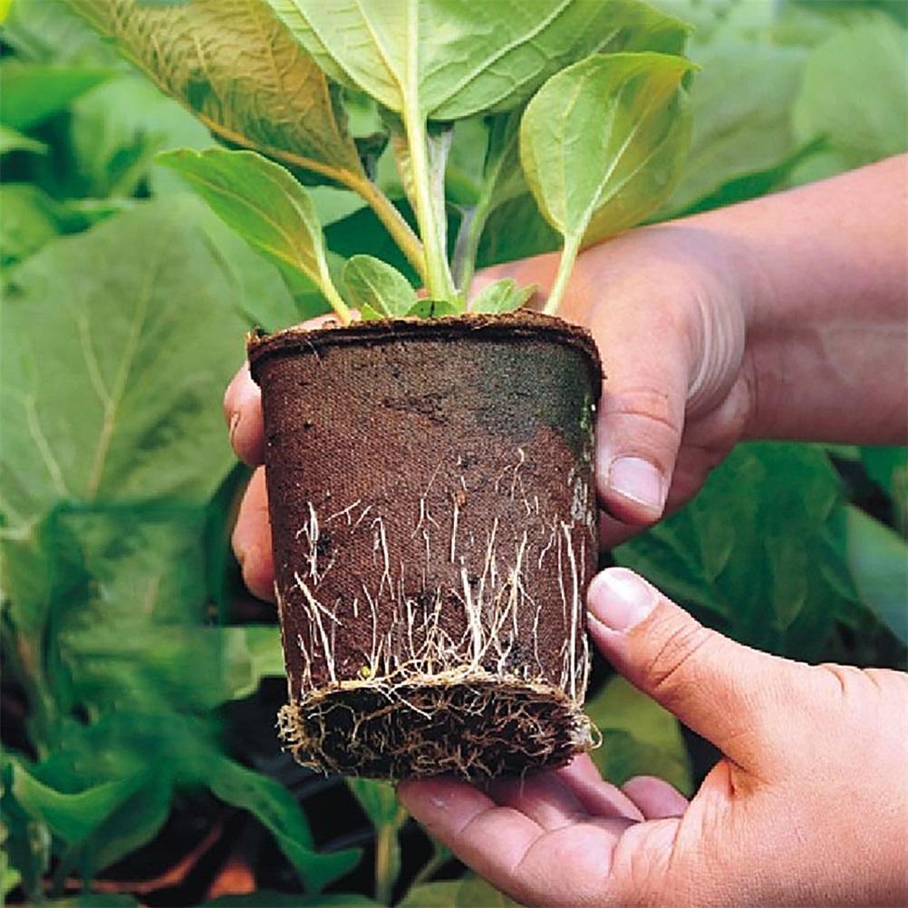 10pcs Seed Growing Tray Biodegradable Paper Pot Plant Seedling Herb Seed Nursery Cup Kit