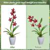 Piquets de Support pour Plantes en Acrylique Transparent de 40 cm avec Pinces Tiges de Support pour Fleurs Réutilisables Piquets de Fixation pour Tige Unique d'Orchidée ou Tige de Tomate
