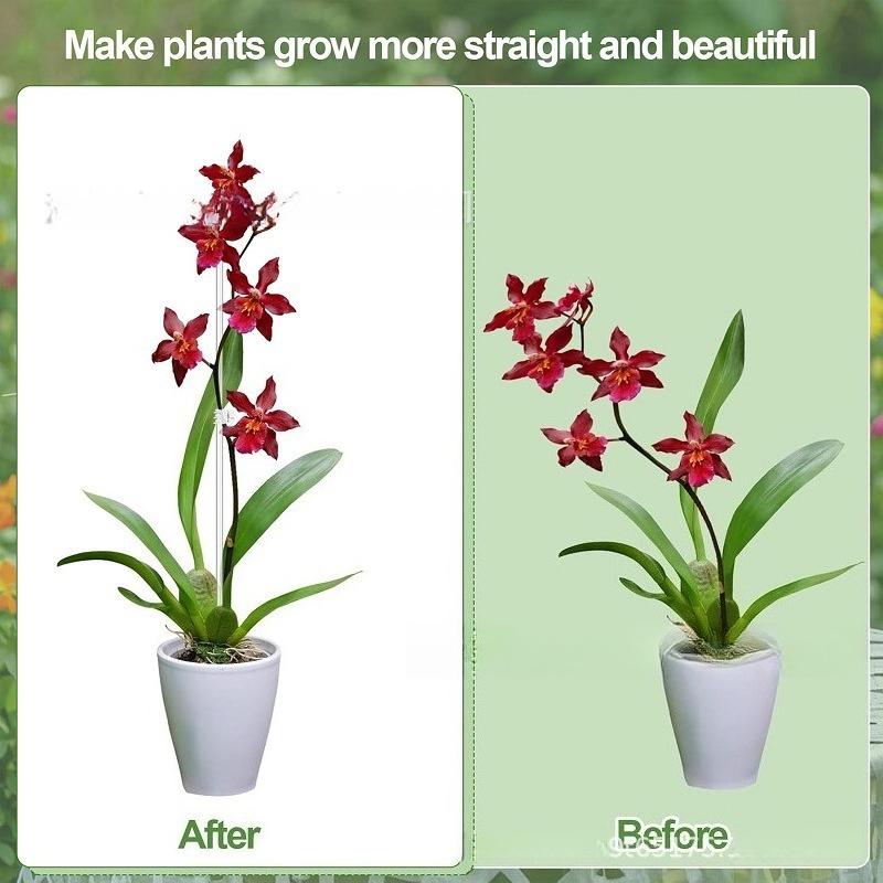 Piquets de Support pour Plantes en Acrylique Transparent de 40 cm avec Pinces Tiges de Support pour Fleurs Réutilisables Piquets de Fixation pour Tige Unique d'Orchidée ou Tige de Tomate