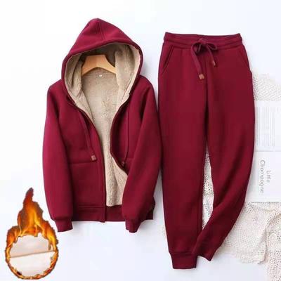 Set din două piese pentru femei, toamnă și iarnă, catifea, casual, stil sport, cu glugă, culoare uni, simplu, jachetă cardigan + pantaloni calduroși cu efect de slăbire