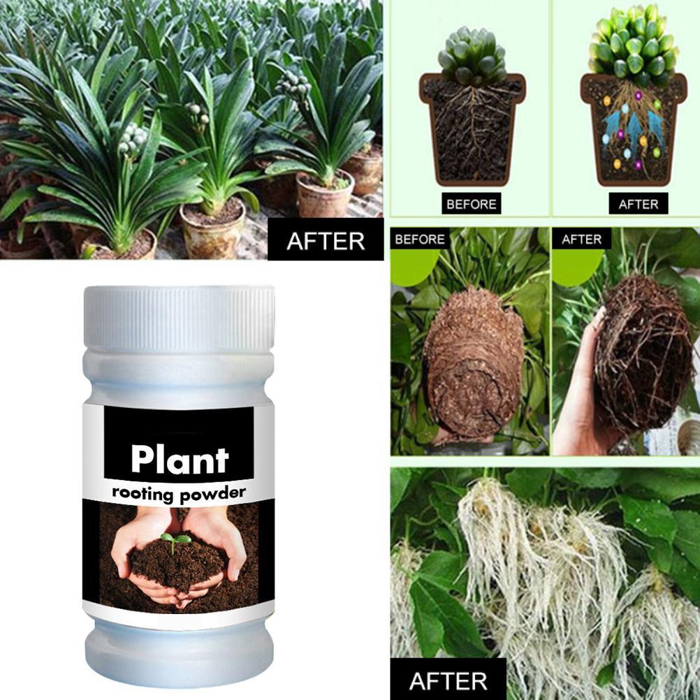 Quick Rooting Powder Fast Plant Flower Rooting Powder Quick Growth Transplant Fertilizer for