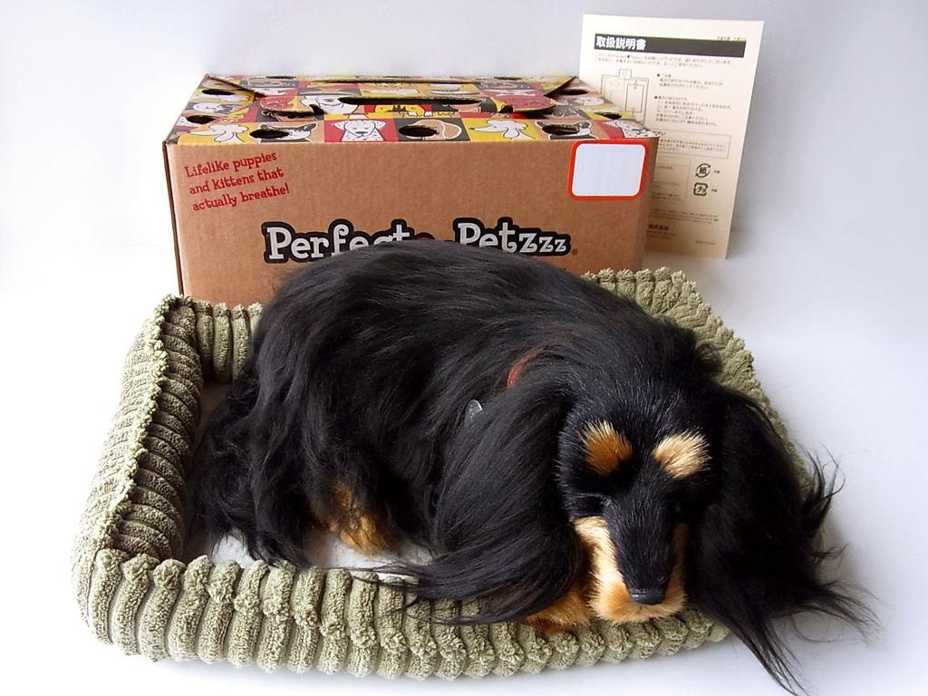 Ninian and Kino Perfect Pet (Small) Dachshund Long (Black and Tan) Plush Dog, Realistic, Lifelike Dachshund, Animal, Soothing, Moving, Present, Gift,