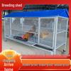 Rainproof Outdoor Chicken, Duck, Rabbit & Pigeon Coop with Anti-Rat Features