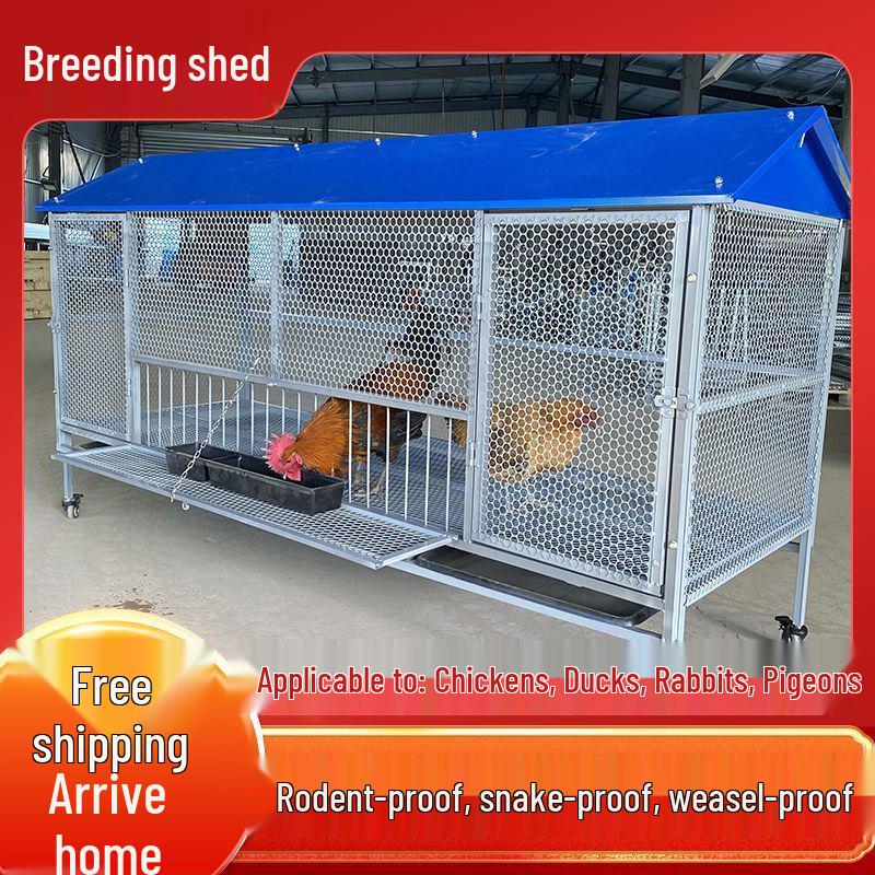 Rainproof Outdoor Chicken, Duck, Rabbit & Pigeon Coop with Anti-Rat Features