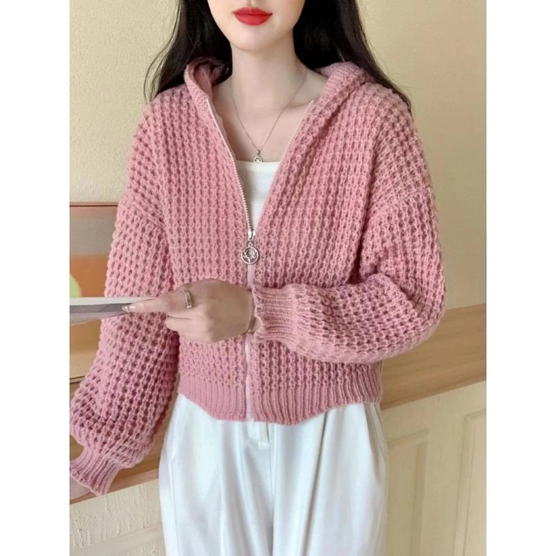Autumn Winter New Zipper Knitted Hooded Sweater Jacket Korean Retro Cardigan Women Coats Casual Slim Fit Knitwear Jackets Simple Elegant Solid Top