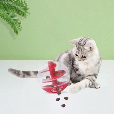 Chat Fuite Manger Boule Spirale Jouets Éducatifs Résistant Morsure Entraînement Manger Jouer Double Usage Rond Ne Renverse Pas Aliment Fuite Fournitures pour Animaux