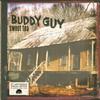 Disco de 12 polegadas BUDDY GUY Sweet Tea Vinil Cristalino 19802978871 SILVERTONE 2026 Europa Blues