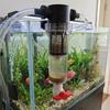 Edelstahl-Filtergewebe Fischabfall-Sammler Wasserfilter-Ventil Fischteich