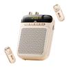 Soaiy S-318Pro Wireless Dual-Mic Lavalier Amplifier Speaker CN Plug (adapter Included)