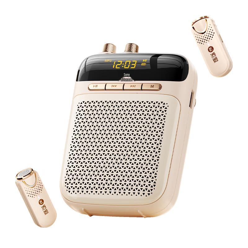 Soaiy S-318Pro Wireless Dual-Mic Lavalier Amplifier Speaker CN Plug (adapter Included)