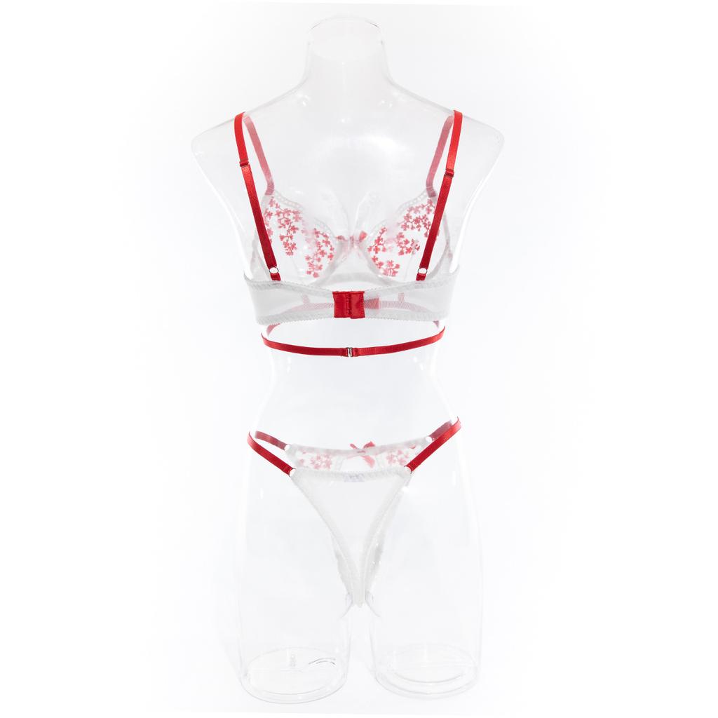 Conjunto de ropa interior sexy para mujer europea y americana, conjunto de sujetador y bragas cómodos, conjunto de lencería moldeadora bordada con huecos