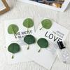 Direct Sales Simulated Leaf Silk Screen Printing Eucalyptus Money Leaf Apple Leaf Eucalyptus Leaf Green Plant Accessories Landscaping Decoration