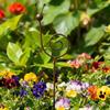 Rostiger Metallschnecken-Gartenstecker 70 cm Outdoor-Gartenskulptur Rustikales Dekoratives Gartendekoration Pflanzenstütze für Terrasse Veranda Hinterhof Dekoration
