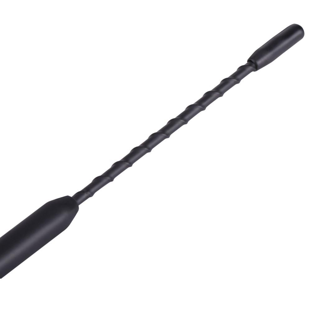 Flexible AM FM Antenna Roof Mount Antenna