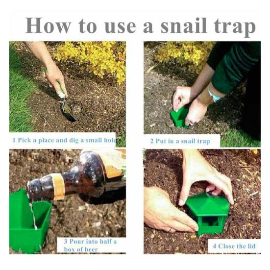 4 Adet Salyangoz Tuzak Kutusu Kullanımı Kolay Bahçe Çiftlik Koruyucu Salyangoz Tuzakları Bahçe Avlusu İçin Çevre Dostu Salyangoz Yakalayıcı