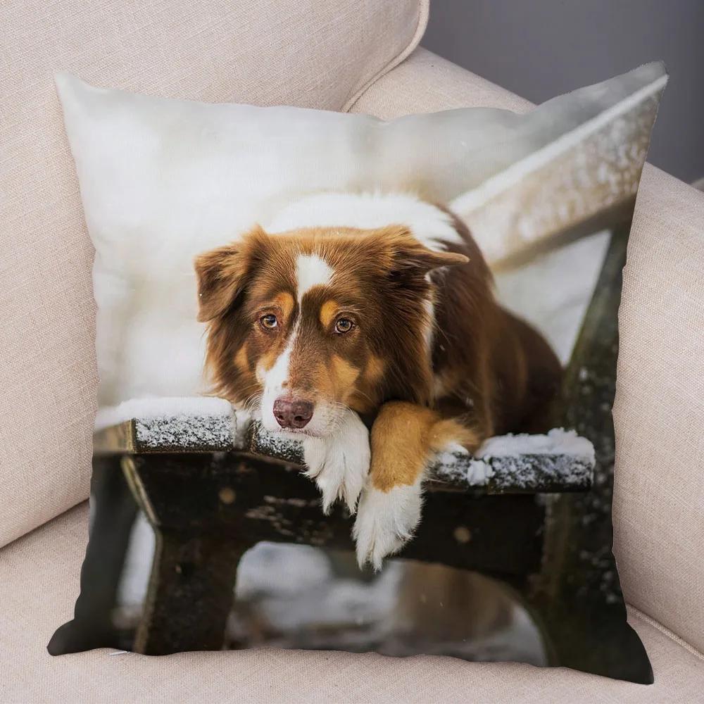 Cute Pet Animal  Cushion Cover Scotland Border Collie Pillowcase for Sofa Car Decor Dog Printed Soft Plush Pillow Case