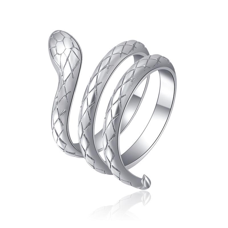 Personalized Punk Snake Rings for Couples - Titanium Steel Jewelry, Retro Street Style for Men and Women