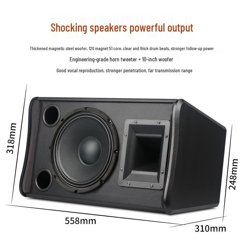 SHILE AV106 Professional Wall-Mounted Conference Audio System